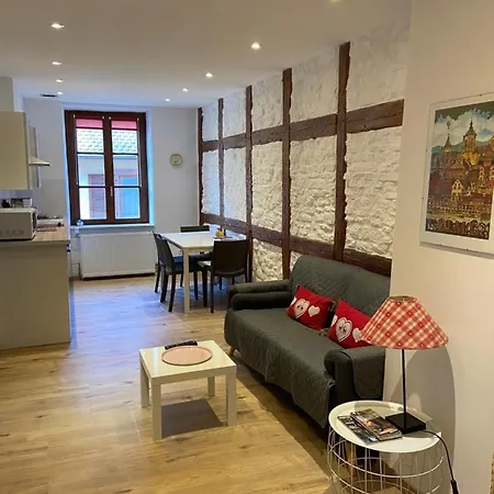 L'Ours De Colmar - Appartements En Centre Ville Exterior foto