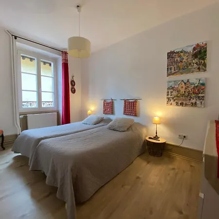 L'Ours De Colmar - Appartements En Centre Ville Exterior foto