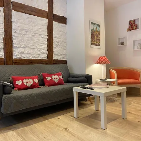 L'Ours De Colmar - Appartements En Centre Ville Exterior foto