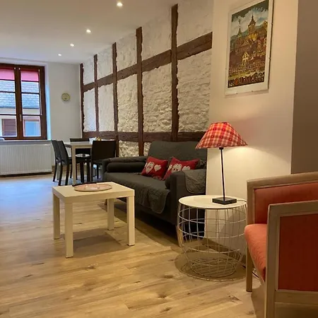 L'Ours De Colmar - Appartements En Centre Ville Exterior foto