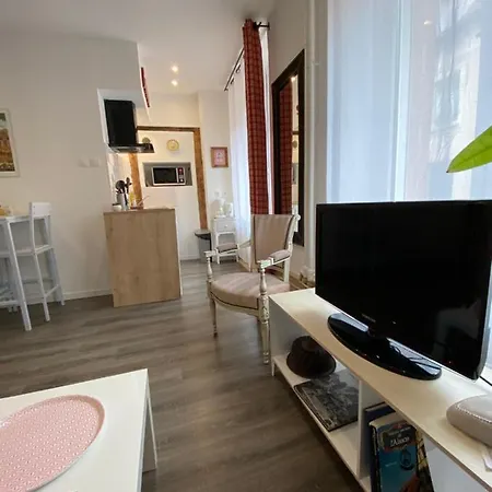 L'Ours De Colmar - Appartements En Centre Ville Exterior foto