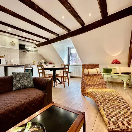 L'Ours De Colmar - Appartements En Centre Ville Exterior foto