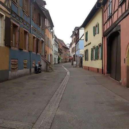 L'Ours De Colmar - Appartements En Centre Ville Exterior foto