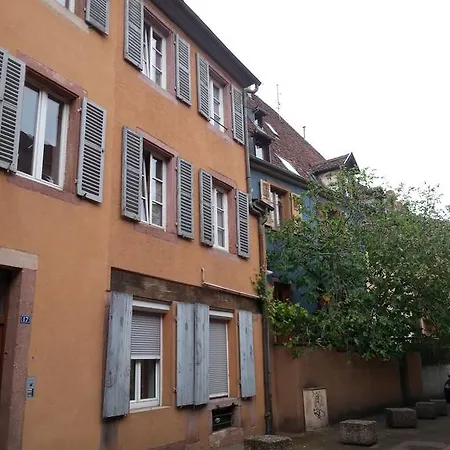 L'Ours De Colmar - Appartements En Centre Ville Exterior foto