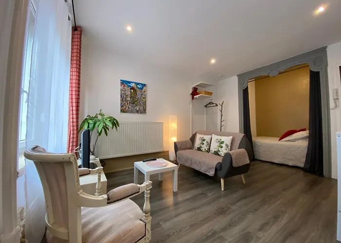 L\'Ours De Colmar - Appartements En Centre Ville