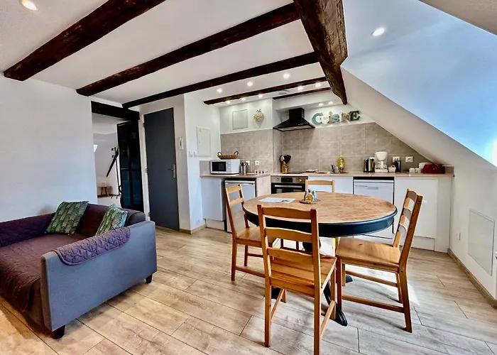 L\'Ours De Colmar - Appartements En Centre Ville