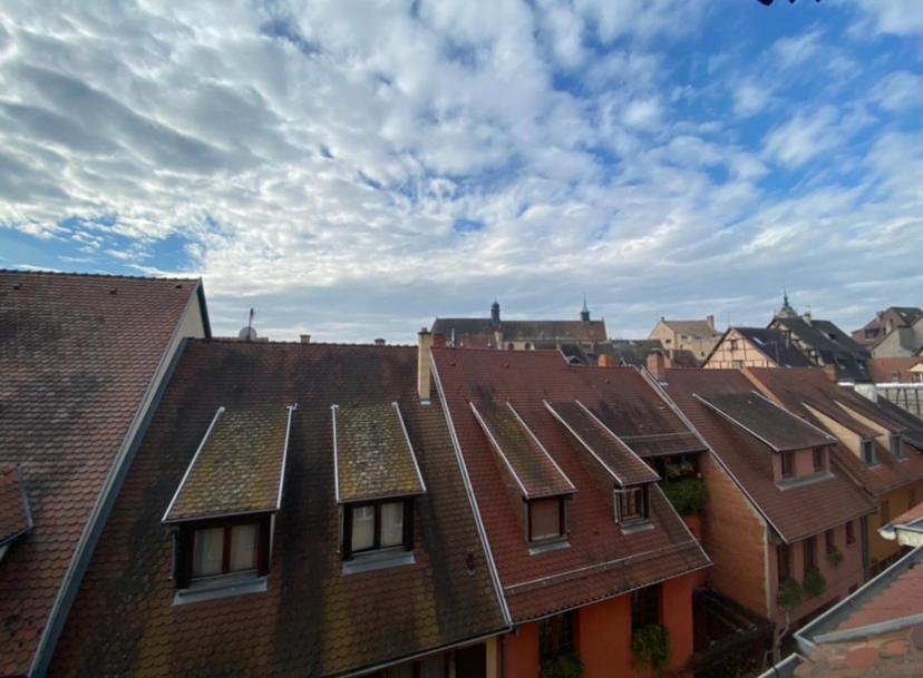 Apartment L'ours De - En Centre Colmar