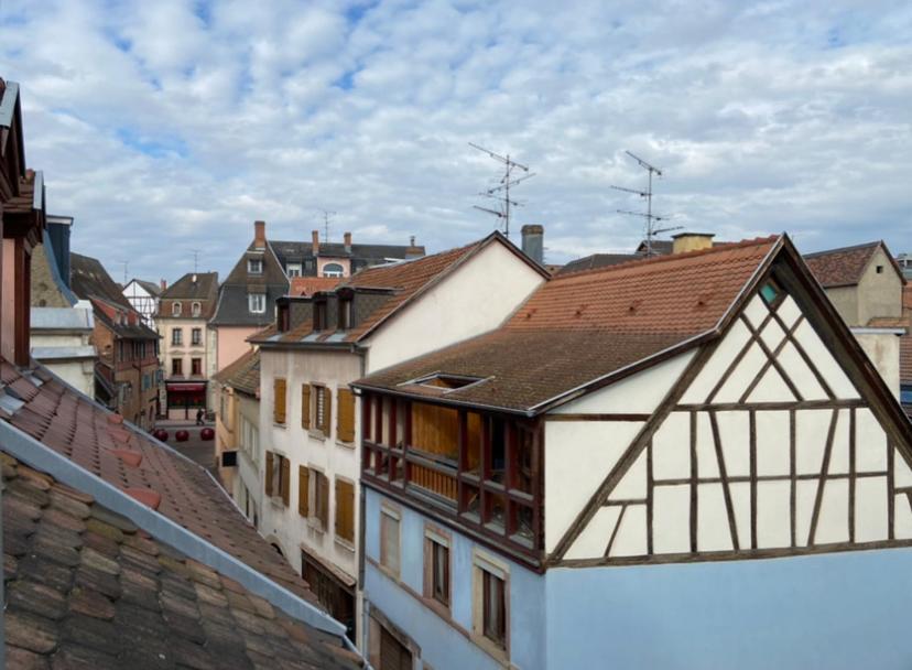 Apartment L'ours De - En Centre Colmar